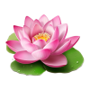 pngtree lotus png file png image 10160217